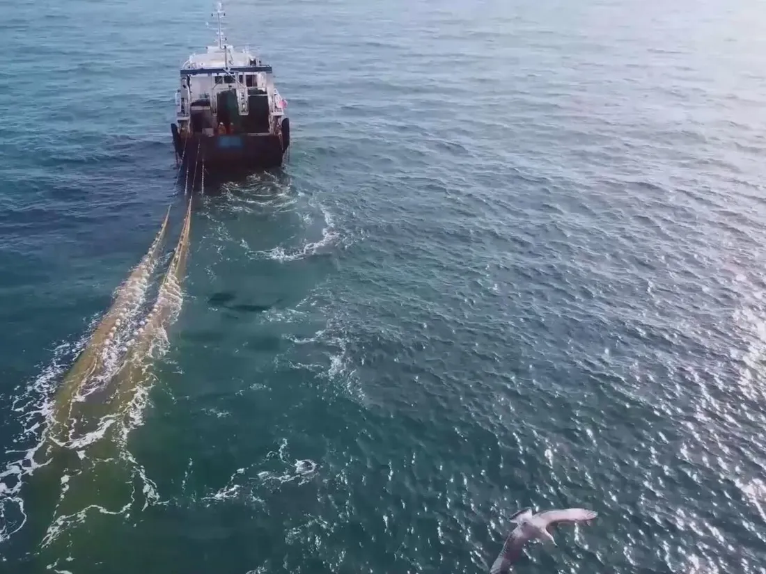 Chalutiers ! Route pêche