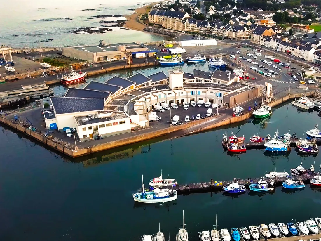 La criée de La Turballe, archives