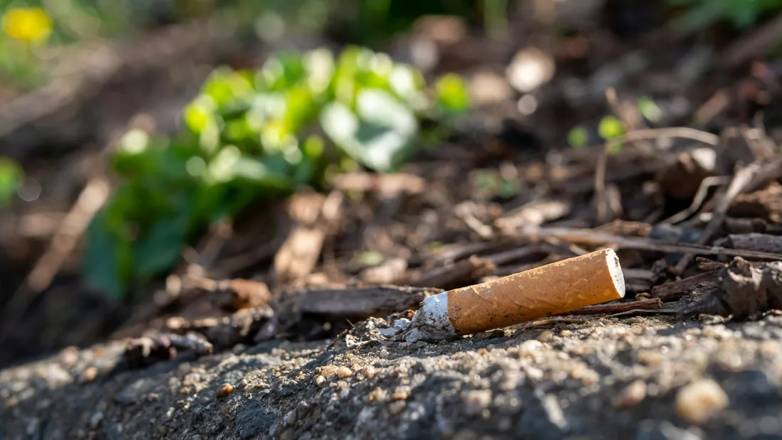 cigarettes