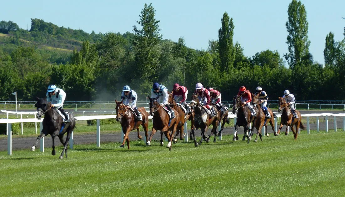 horse-race-horses-sports-racing-jockey-494146-pxhere.com