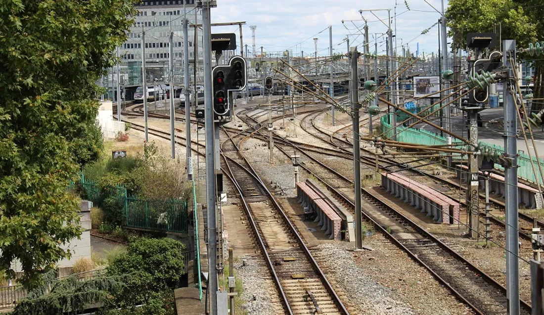 Image d'illustration