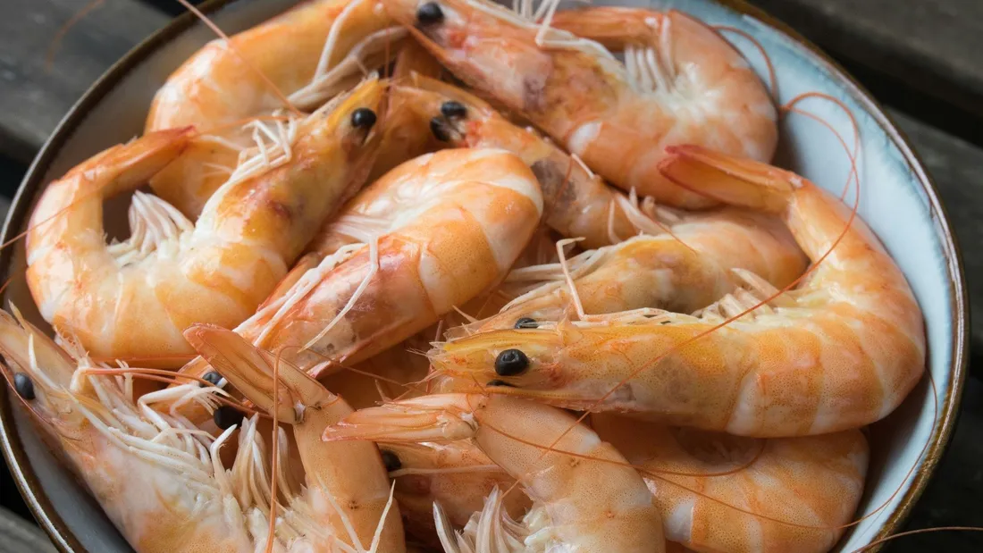crevettes