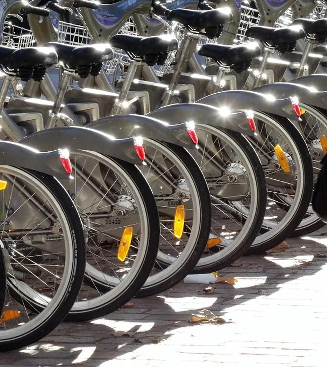 Image d'illustration