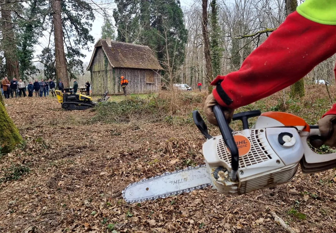 Le débroussaillement devient obligatoire aux abords des forêts classées.