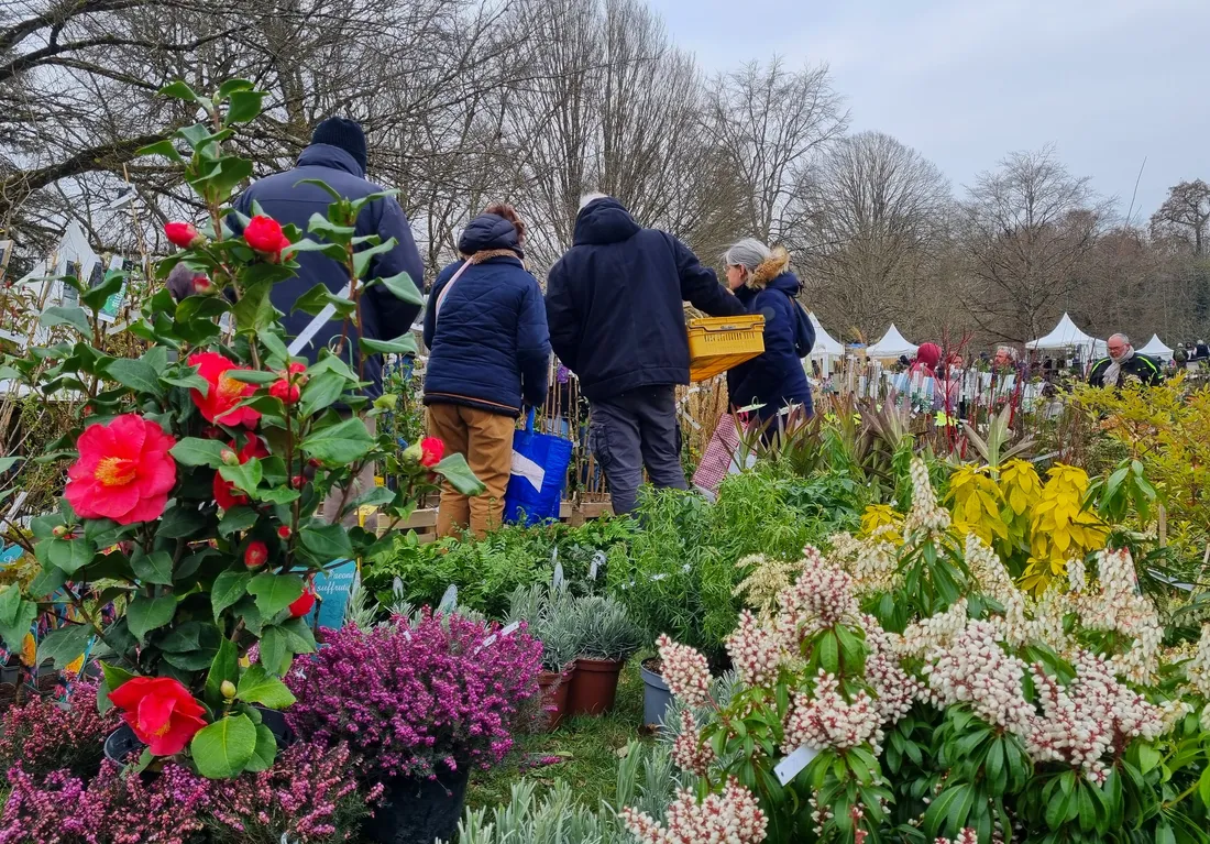 La Fête des plantes anime le château de Cheverny ce week-end.