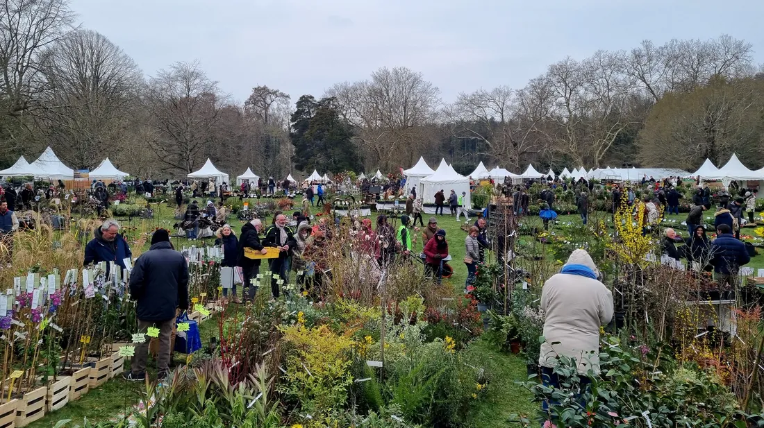 Près de 120 stands sur cette 21ème édition de la Fête des plantes au château de Cheverny.