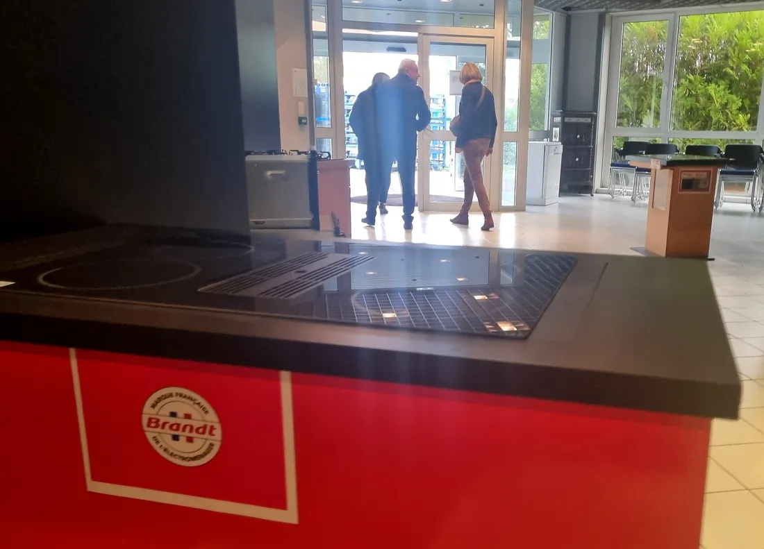 Des pièces d'électroménagers du showroom de Brandt à Saint-Ouen étaient proposées aux enchères.