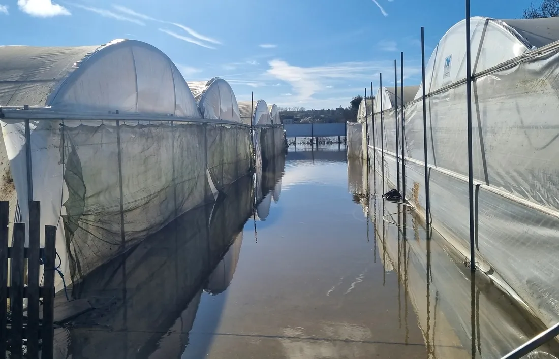Plusieurs serres de la pépinière Simier restaient dans l'eau en attendant la décrue.