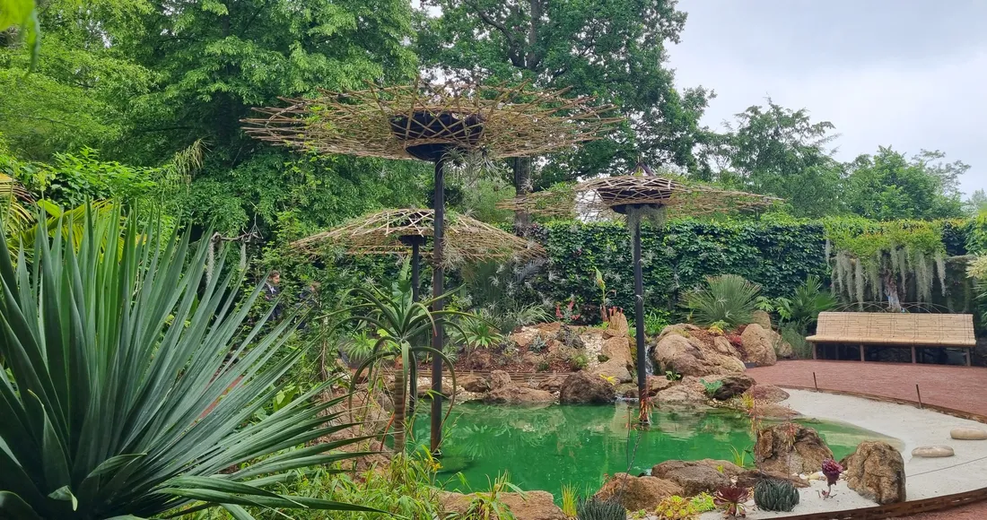 Le jardin qui s'inspire du film "Avatar" présenté à Chaumont-sur-Loire.