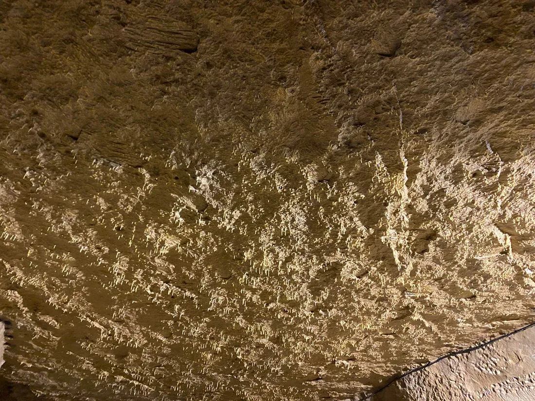 Les stalactites des carrières de Beaulieu