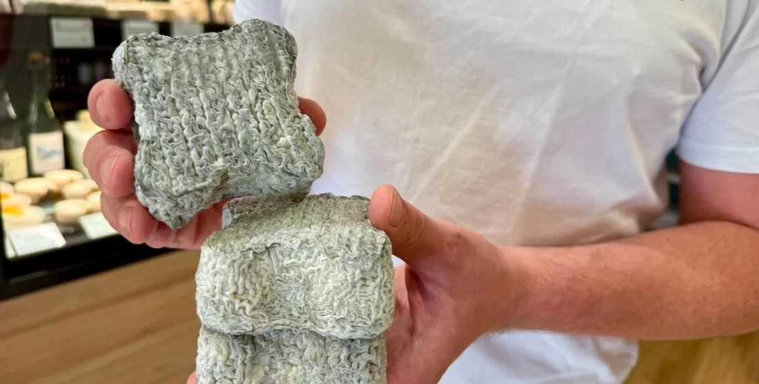 Le trèfle et sa forme caractéristique s'illustre déjà sur les meilleurs plateaux de fromages.