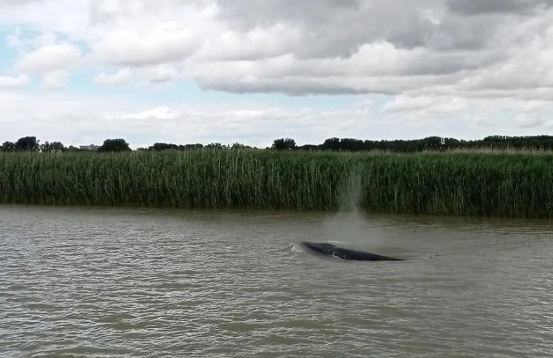 Crédit photo : Christophe Carval