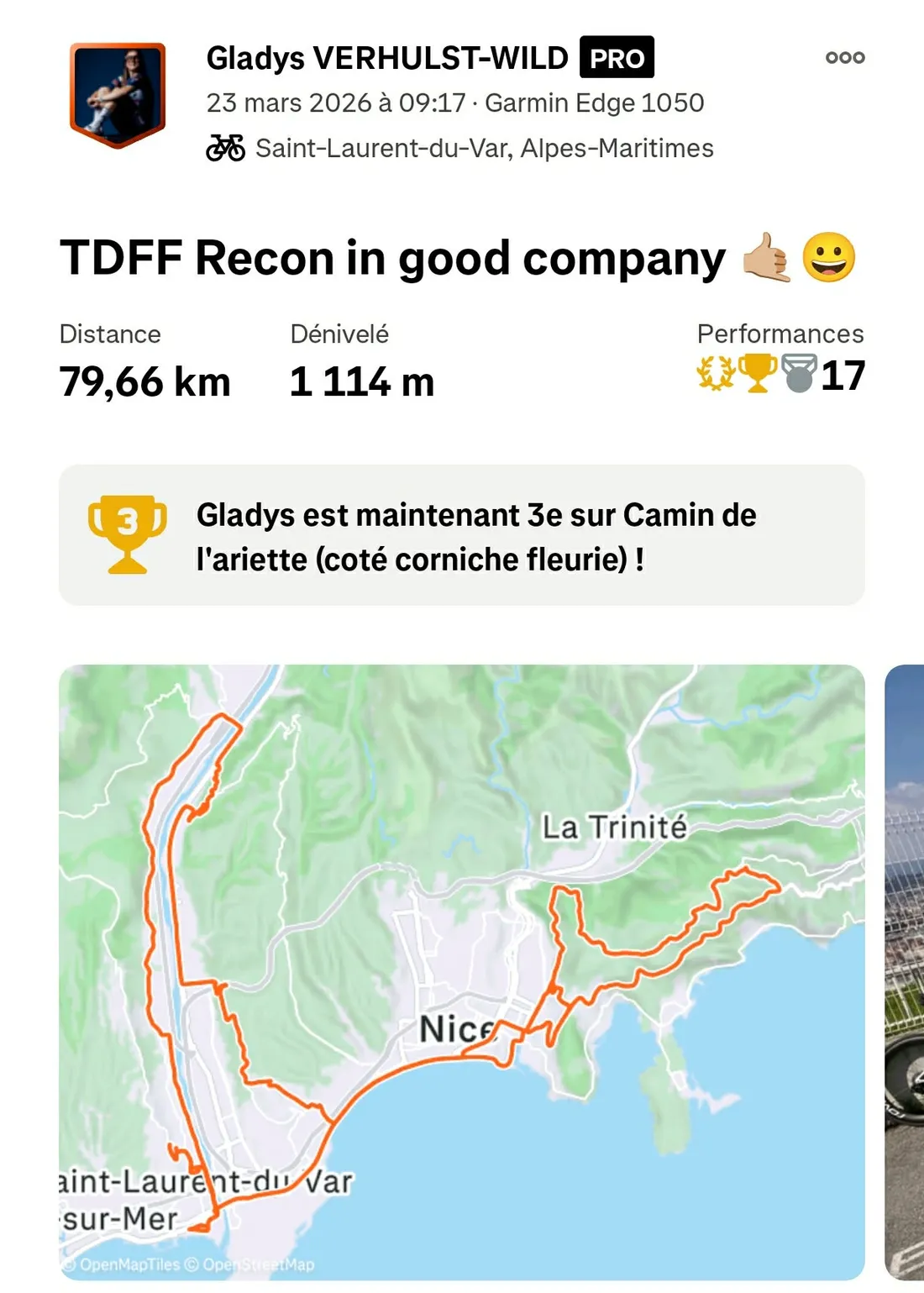 Gladys Verhulst-Wild