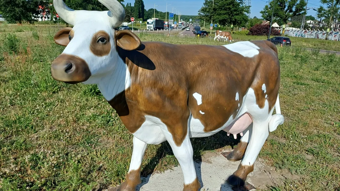 Rond-point des vaches