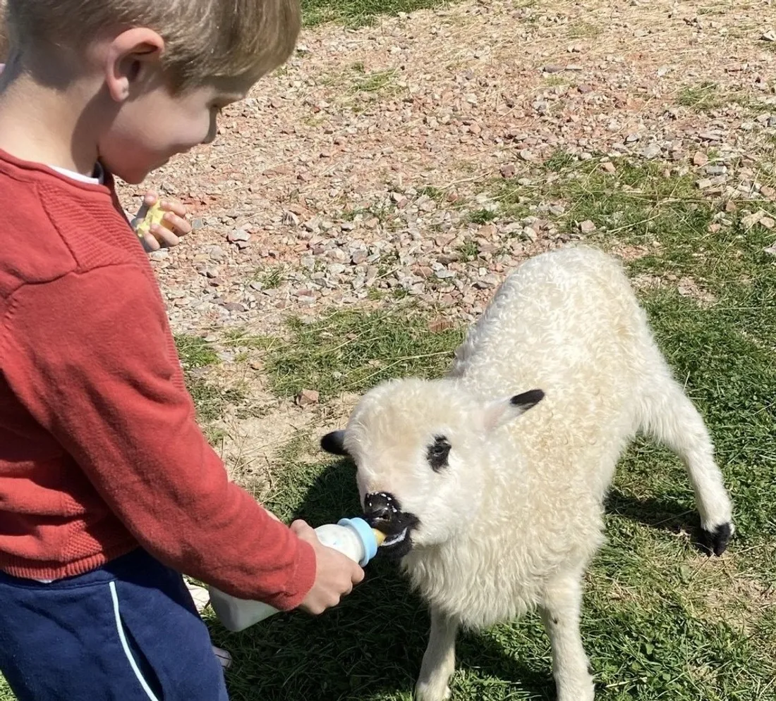 Marché des producteurs Alençon