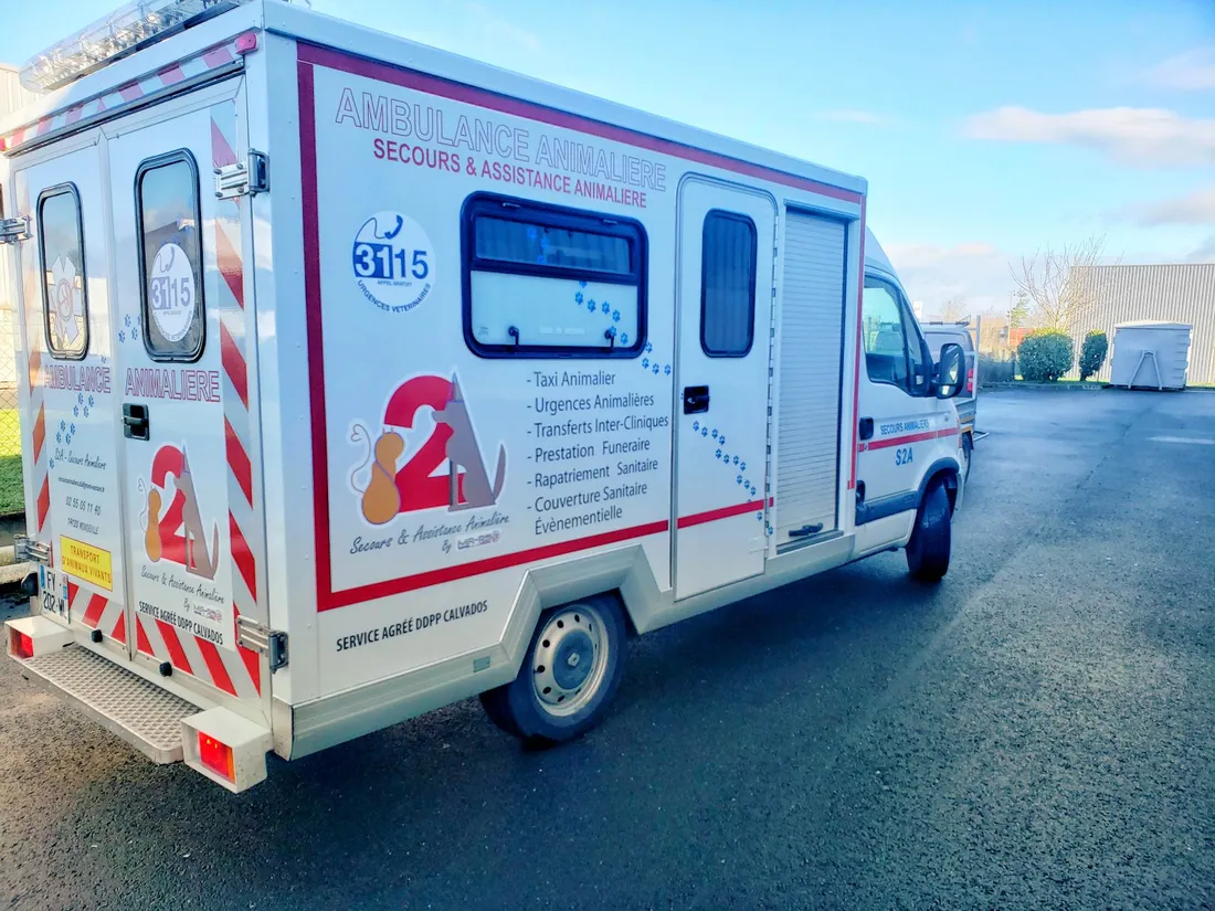 Une ambulance animalière