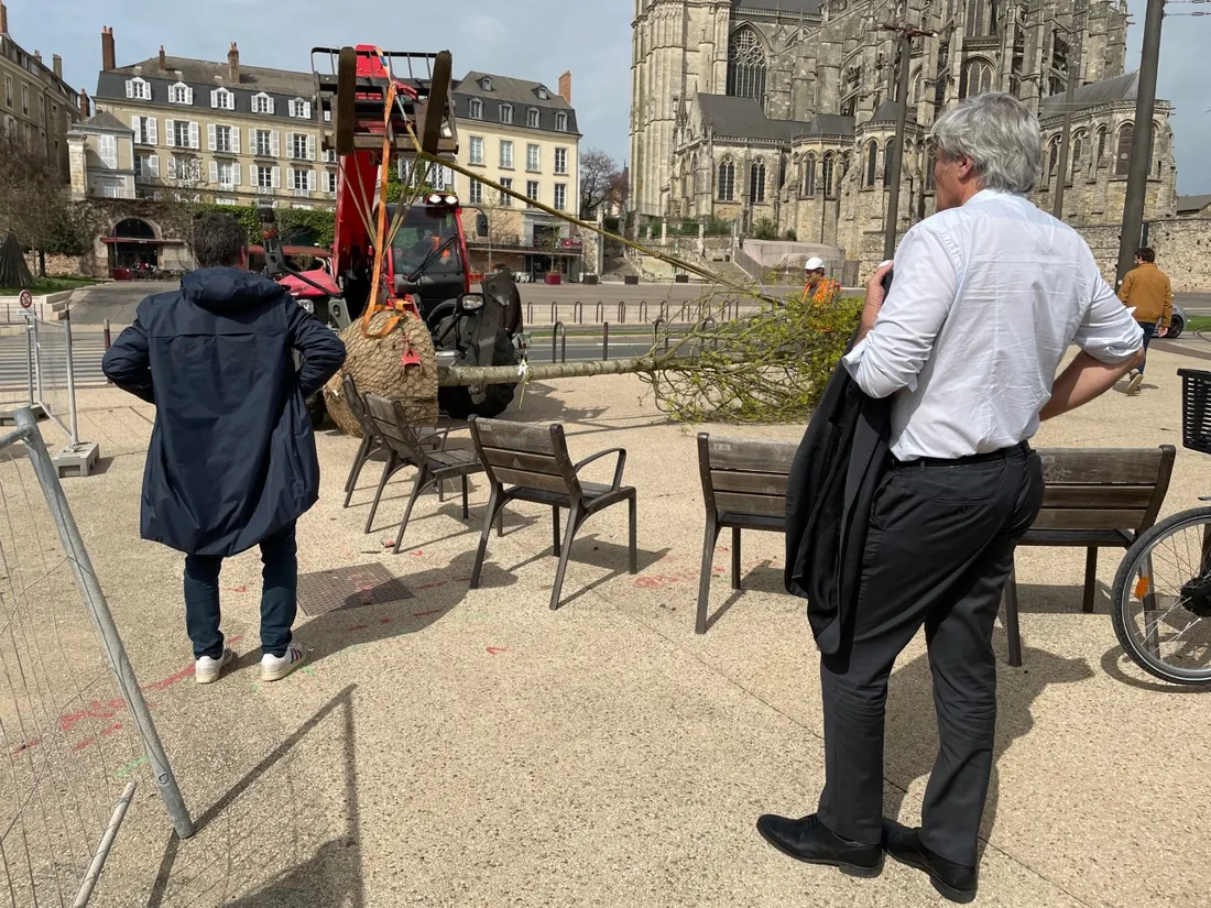 La plantation de l'érable s'est déroulée sous les yeux de Stéphane Le Foll