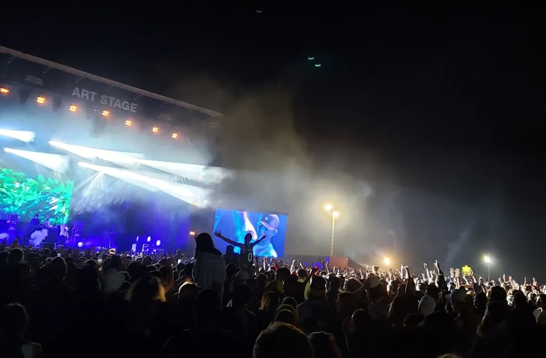 La foule au festival Art Sonic