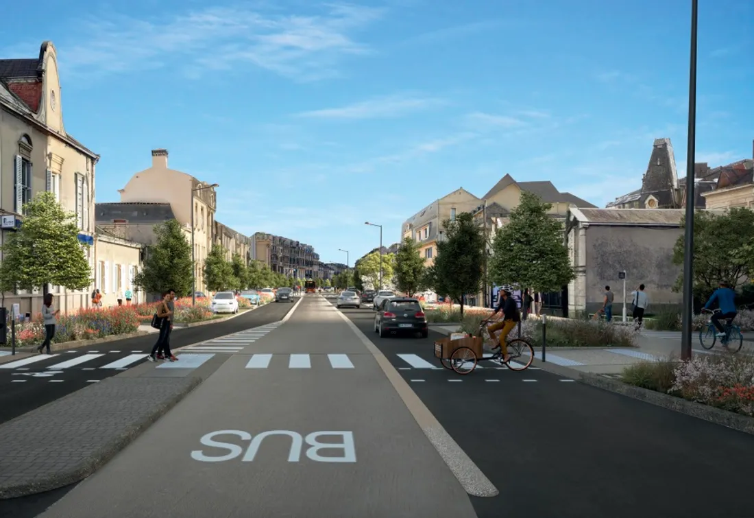 Le Mans : un rassemblement contre l’abattage des arbres de l’avenue Bollée ce lundi