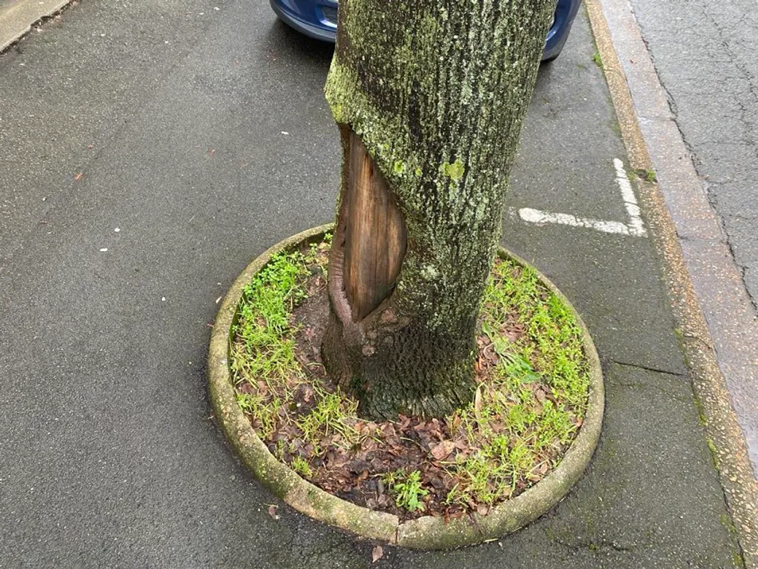 Au Mans, sur l'avenue Bollée