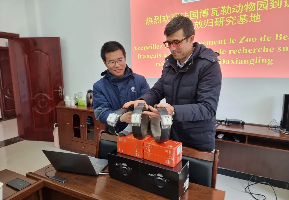 collier GPS zoo Beauval