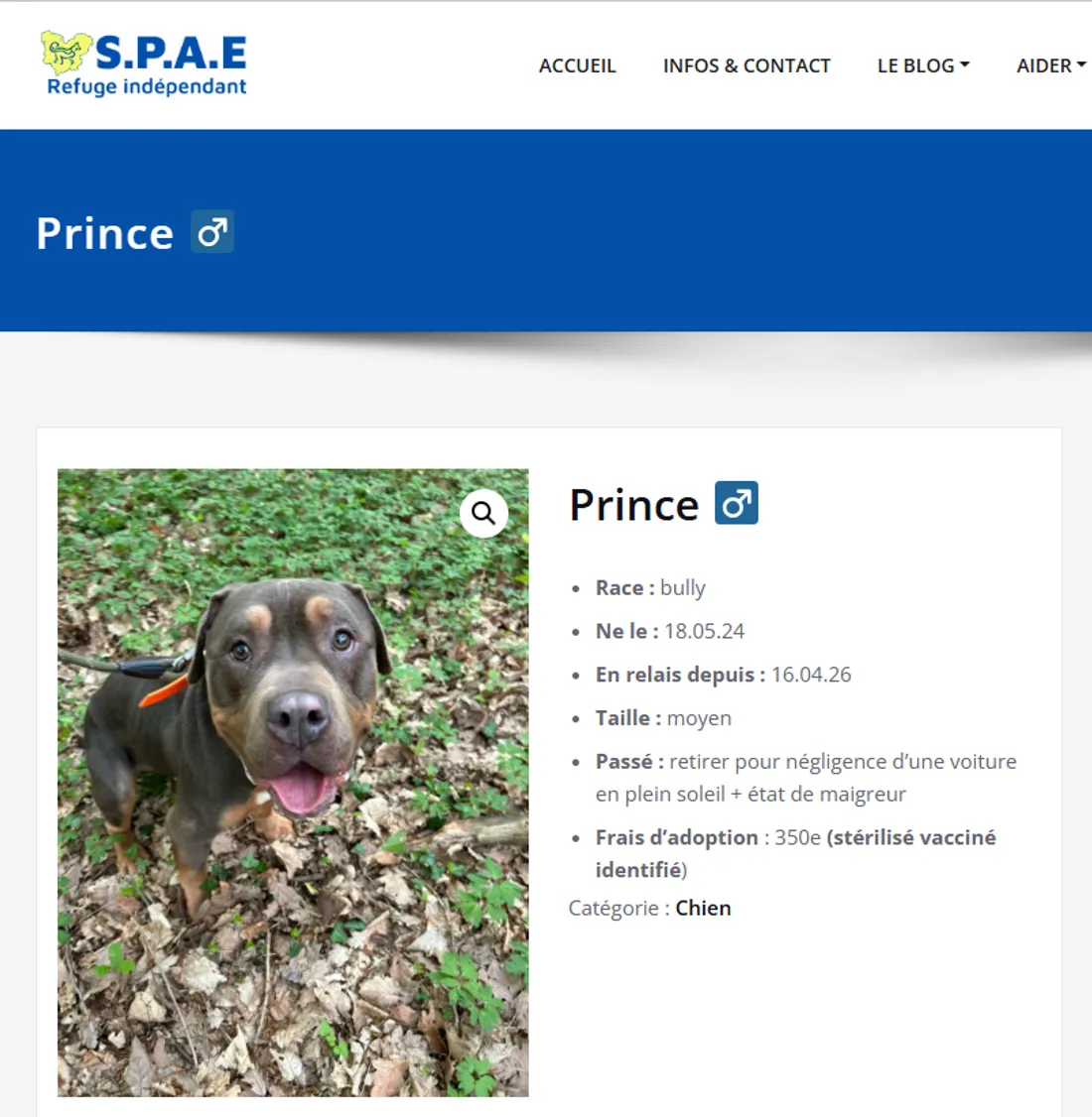 Sauvé et confié à un refuge 