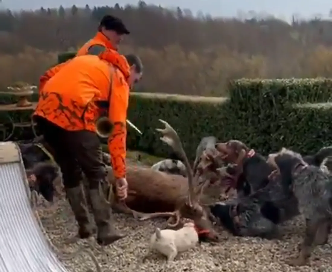 Capture de la vidéo réalisée par la mère de Luc Besson