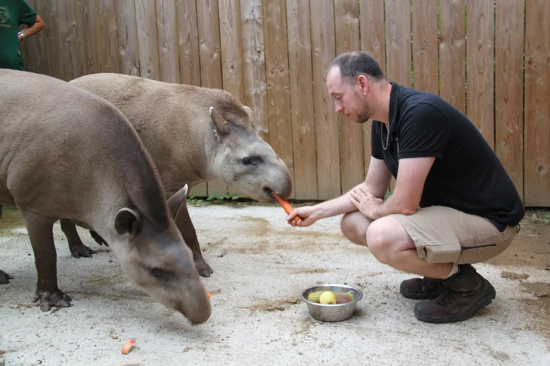 Le parc animalier de Cerza a recueilli 16 animaux venus du zoo du Bassin d'Arcachon