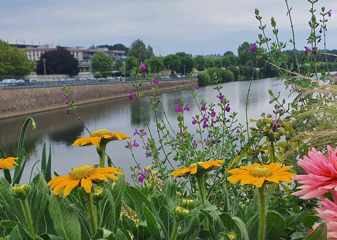 Château-Gontier s'est vu renouveler son label "quatre fleurs"