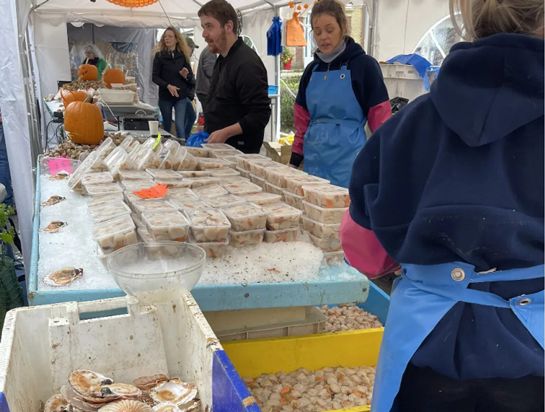 Coquilles Saint-Jacques