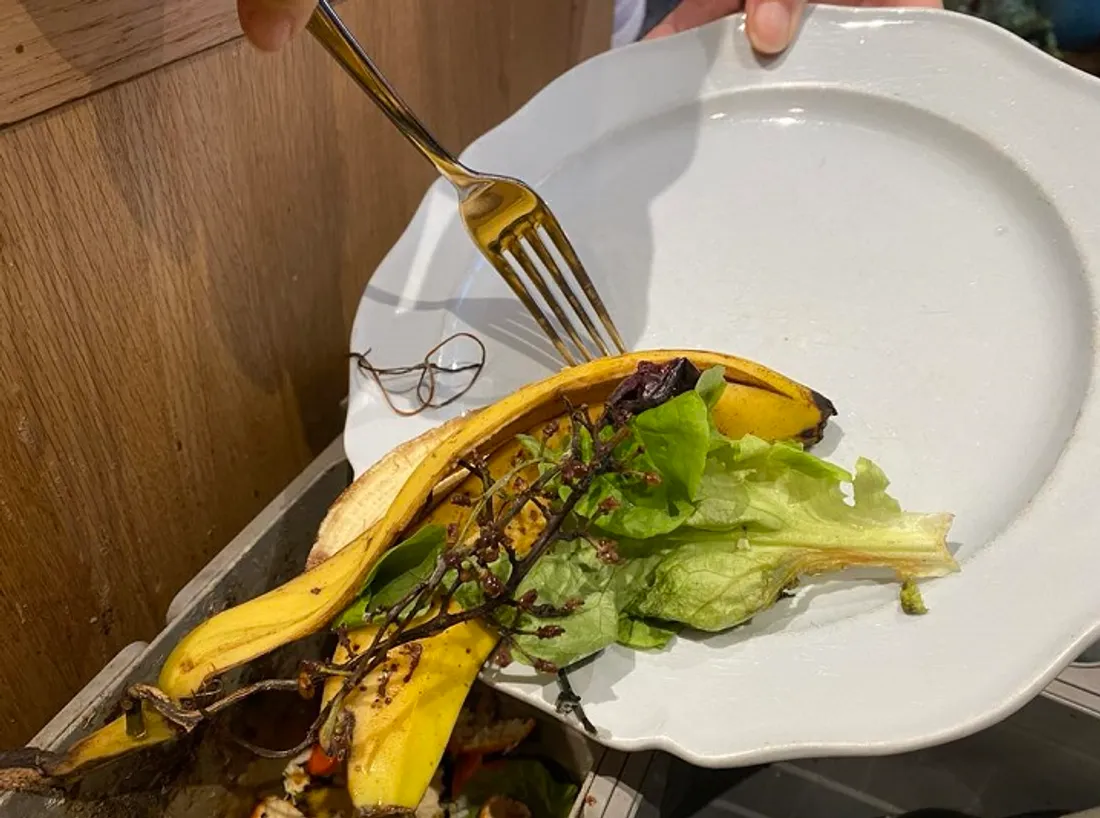 Déchets alimentaires bons pour le compost