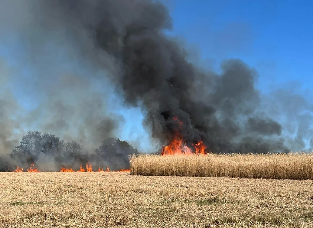 Feu de végétation à Houssay