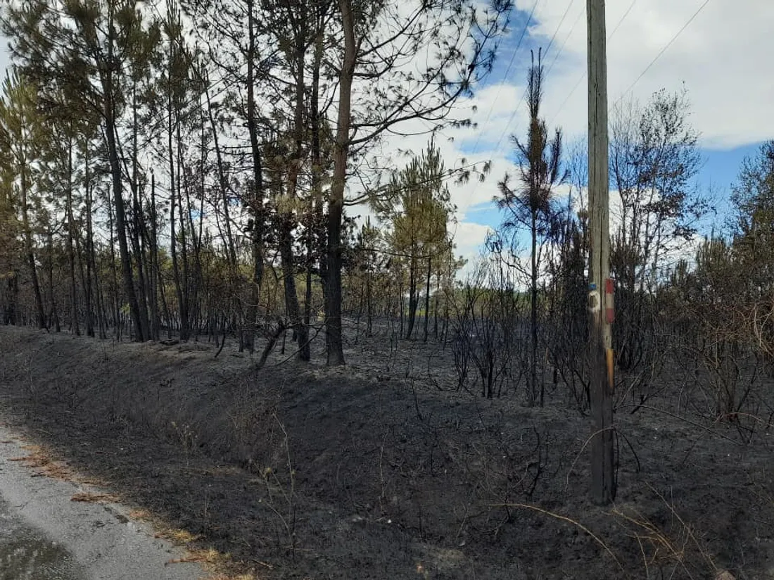 Paysage quelque peu lunaire à Ruaudin après le passage des flammes