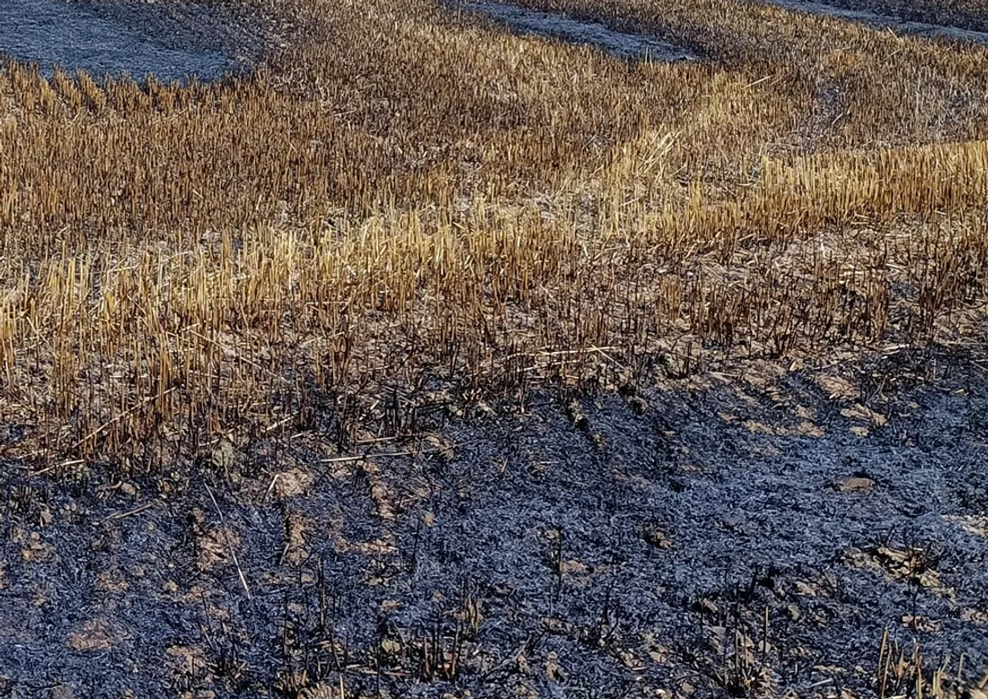 Feu de chaume dans le Calvados
