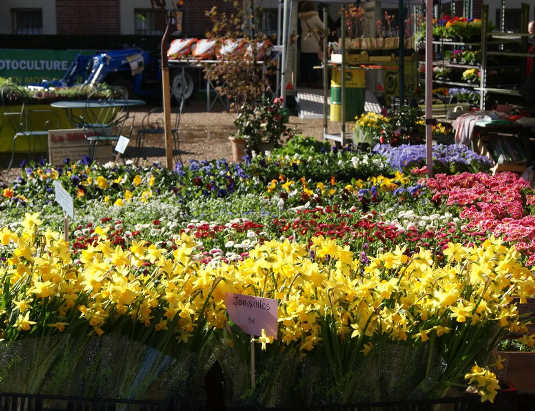 A Lisieux, la foire aux arbres et aux plantes