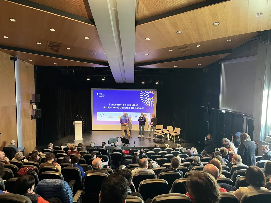 Près de 2 500 emplois de la culture seraient menacés par la baisse du budget régional.