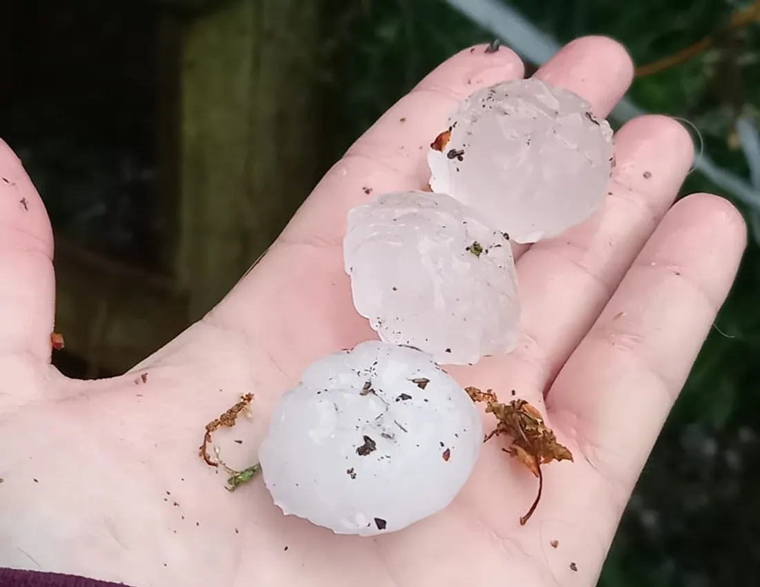 Grêlons tombés ce vendredi 20 mai en Mayenne