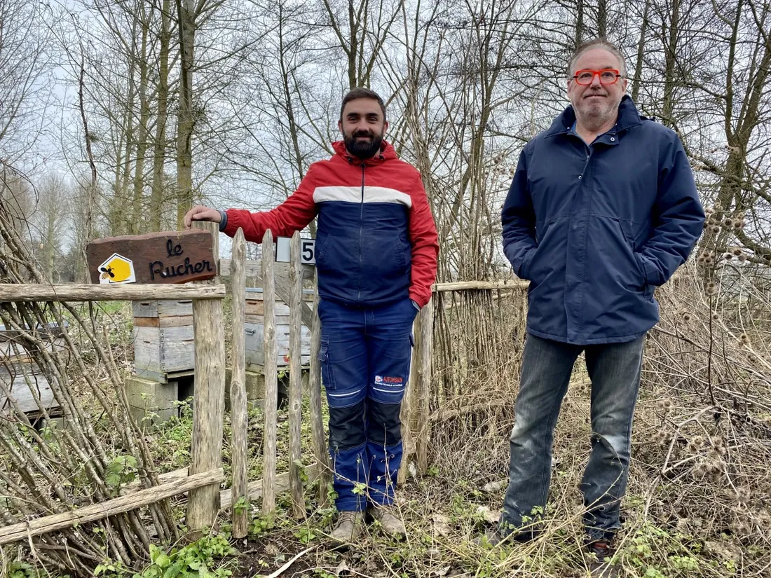 Néonicotinoïdes : « ça décime très vite les ruchers »