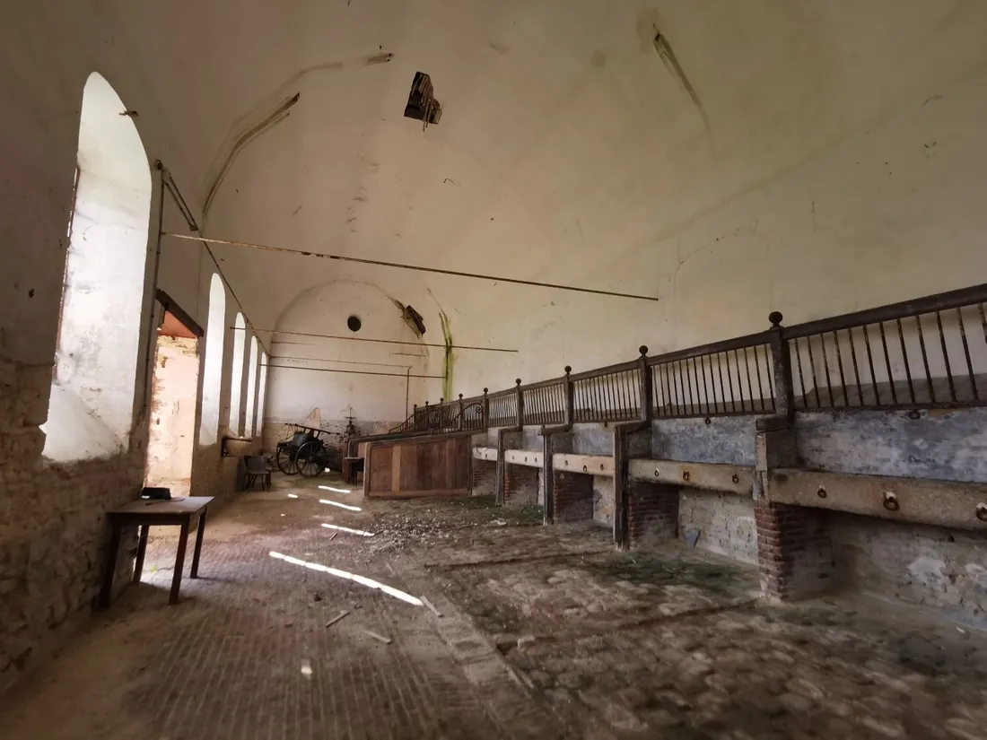 Dans l'Orne, le Haras du Pin sera restauré grâce au Loto du Patrimoine