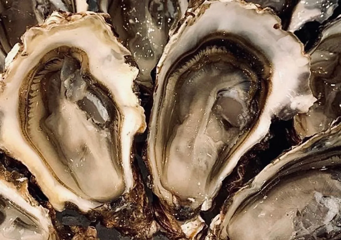 Huîtres
