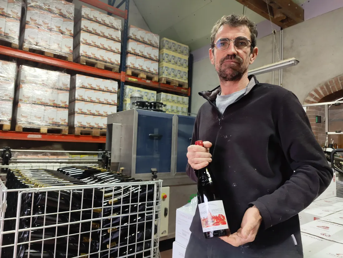 Cédric Chollet est vigneron à Onzain, sur l'AOC Touraine-Mesland