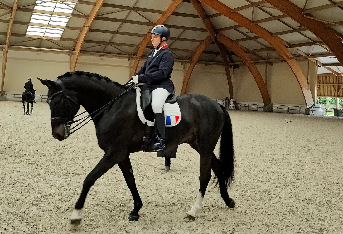 Vladimir Vinchon et Pégase Mayenne, un couple qui vaut de l'or ?
