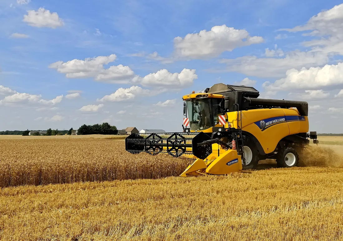 Les moissons 2024 affichent des rendements bien inférieures aux années standards.