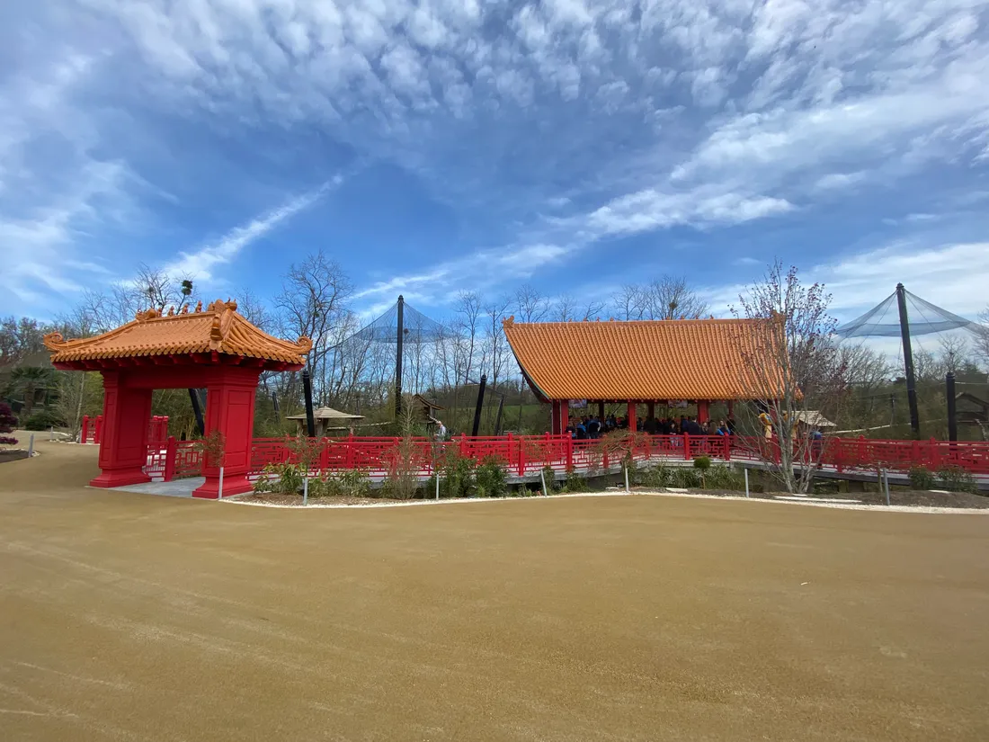 Pavillon singes dorés