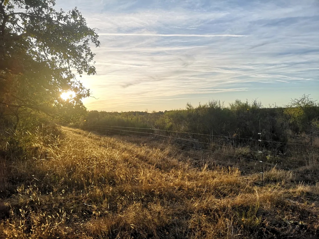 Les signataires s'élèvent contre les grandes propriétés de chasse qui dressent des clôtures.
