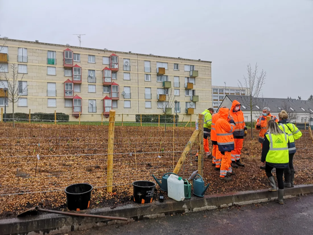 La première micro forêt urbaine blésoise est plantée dans les quartiers nord.