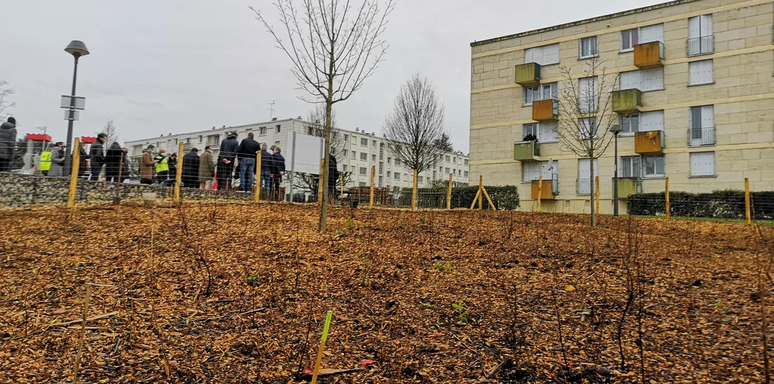 Un îlot de fraicheur et de biodiversité au cœur de la ville de Blois 