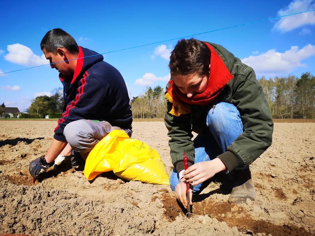 82 pieds de lignage ont été plantés au domaine du Clos du Tue-Bœuf aux Montils.