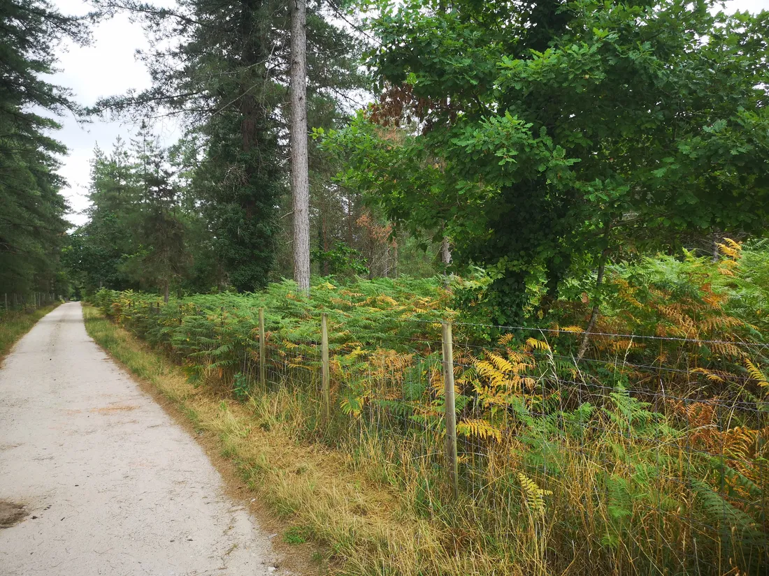 400 ha de surfaces agricoles et 119 ha de forêts devraient disparaitre pour ce réaliser ce projet.