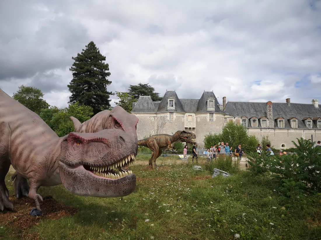 Le Parc Dashanpu est ouvert au public jusqu'au 26 août. En attendant une prolongation ?